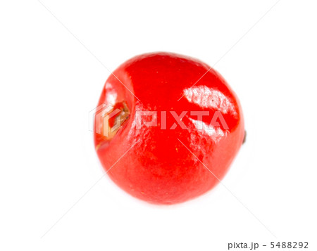 ピンクペッパー 5488292