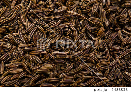 キャラウェイ キャラウェイ 5488338