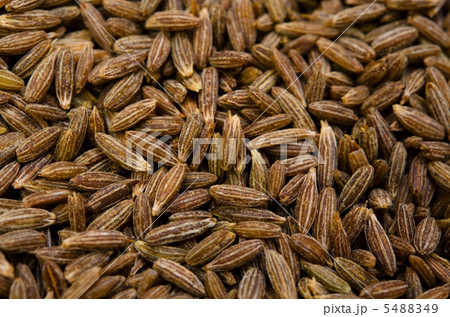 クミンシード クミンシード 5488349