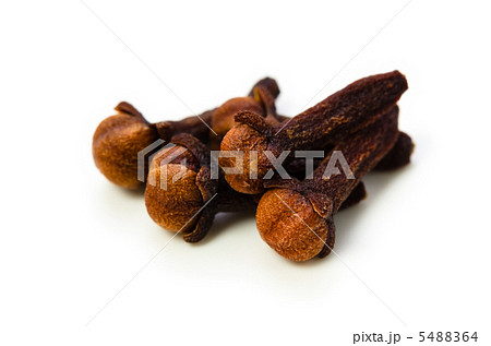 クローブ 5488364