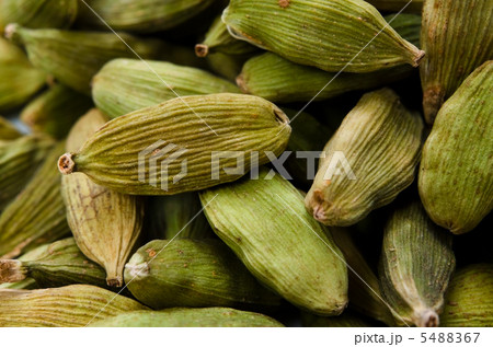 カルダモン 5488367