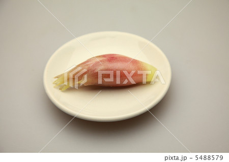 みょうが みょうが 5488579