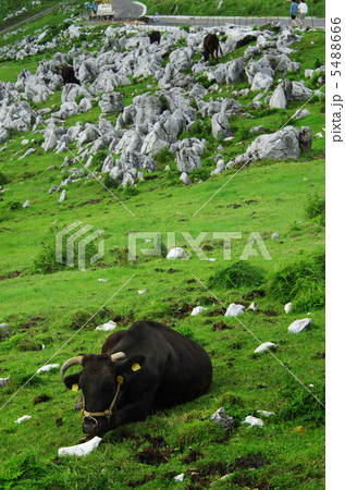 カルスト 5488666