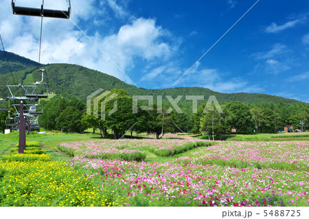 長野　信濃町　黒姫高原 5488725