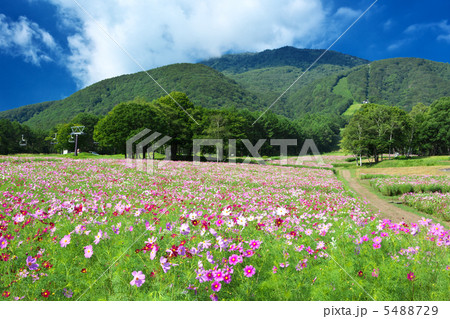 長野 信濃町 黒姫高原 長野 信濃町 黒姫高原 5488729