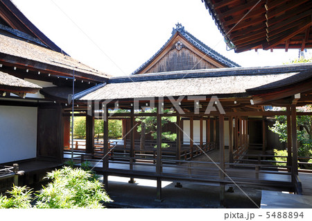 御室仁和寺 5488894