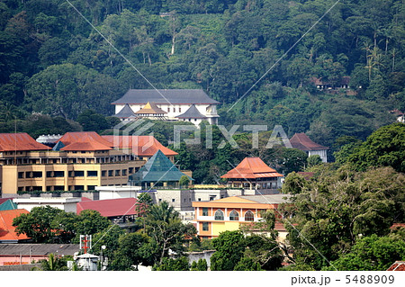 キャンディ キャンディ 5488909