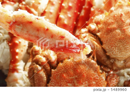 北海道産・カニ集合 毛ガニ、タラバガニ 北海道産・カニ集合 毛ガニ、タラバガニ 5489960