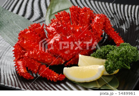 北海道根室産・花咲ガニ 北海道根室産・花咲ガニ 5489961