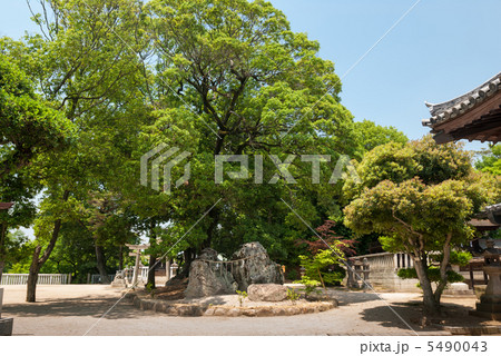 阿智神社 天津磐境の鶴亀の石組 阿智神社 天津磐境の鶴亀の石組 5490043