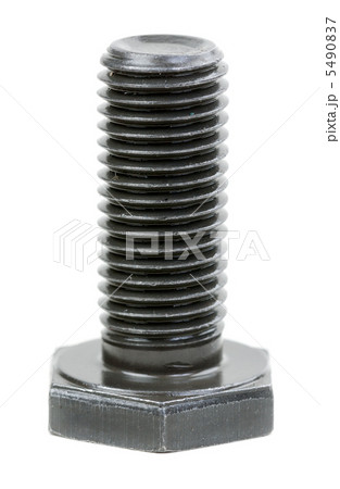 Steel bolt in a protective coating 5490837