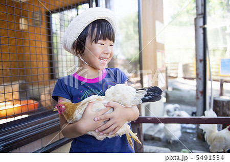 鳥を抱える子供 鶏を抱く子の写真素材 [5491534] - PIXTA