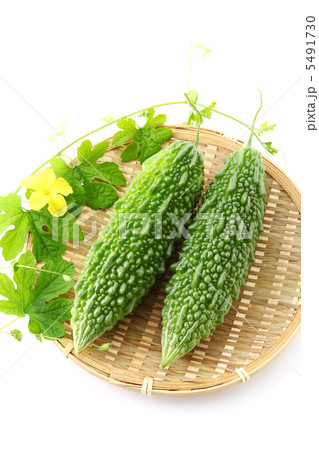 ゴーヤー 5491730