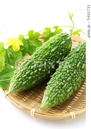 ゴーヤー 5491731