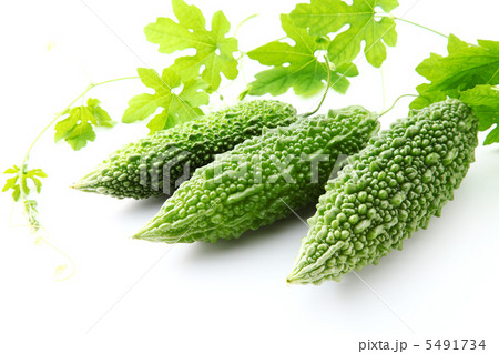 ゴーヤー ゴーヤー 5491734