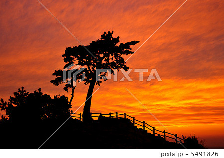 伊豆黄金崎夕日 伊豆黄金崎夕日 5491826