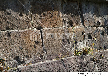 西南戦争銃弾跡 5492106