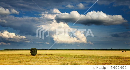 Landscape with cloudy sky 5492492