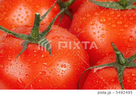 Tomato background 5492495