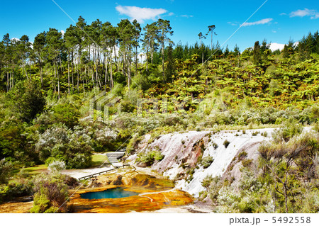 New Zealand landscape 5492558