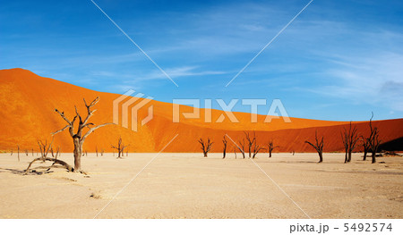 Namib Desert 5492574