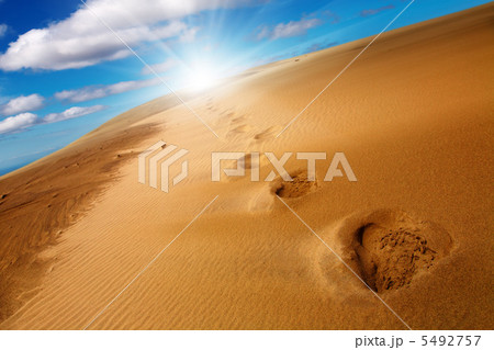 Footprints on sand dune 5492757