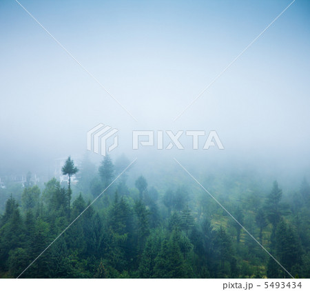 fog 5493434