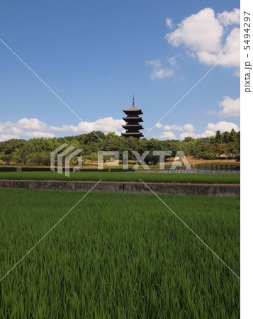 夏の日の備中国分寺五重塔 5494297