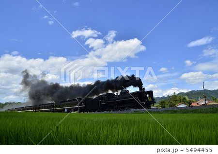 夏色機関車 夏色機関車 5494455