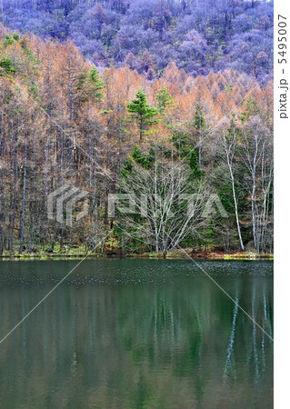 早春の御射鹿池 5495007