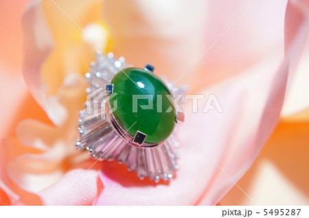 ピンクに包まれたリング 5495287