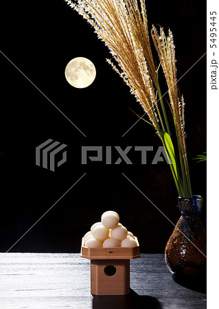 月見 月見 5495445