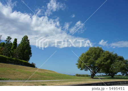 カントリー 5495451