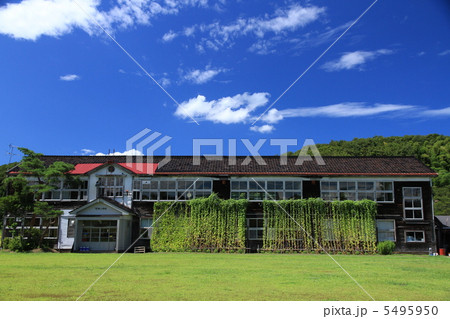 木造校舎の緑のカーテン 5495950