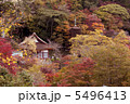 紅葉の中の十三重塔 5496413