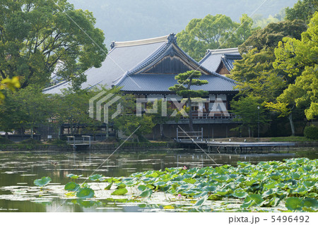 大覚寺　大沢池からの五大堂 5496492