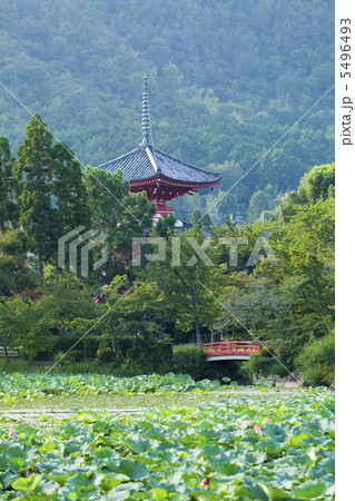 大覚寺　大沢池からの心経宝塔 5496493