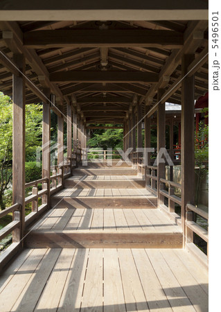 大覚寺　回廊 5496501