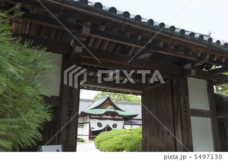 大覚寺　表門 5497130
