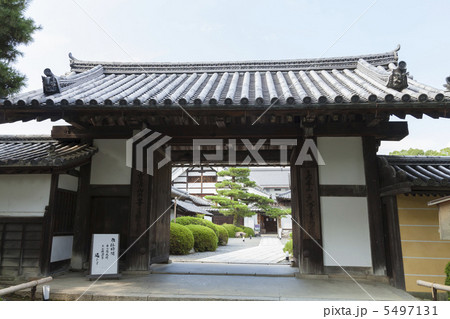大覚寺　表門 5497131