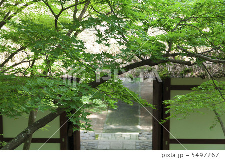 常寂光寺 仁王門 常寂光寺 仁王門 5497267