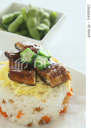 ちらし寿司　鰻 5499062