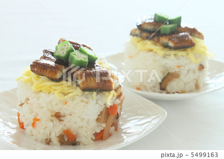 ちらし寿司　うなぎ 5499163