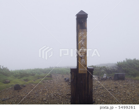 北ノ俣岳山頂 5499261