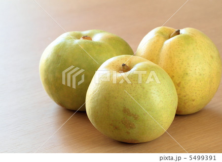 梨の秀玉 5499391