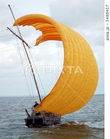 帆引き船 5499457