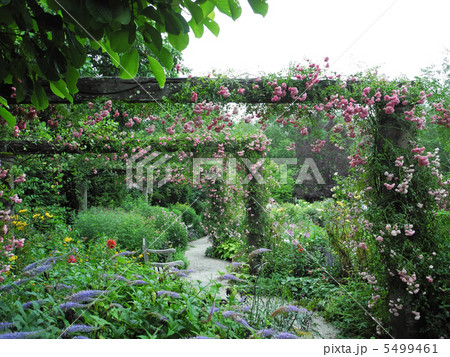 ドロシーパーキンス 5499461