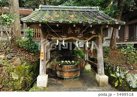 京都　松尾大社　亀の井 5499518