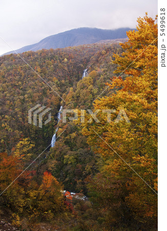 蔵王の紅葉　宮城観光 5499618
