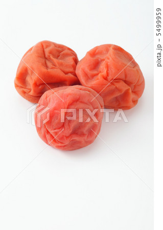 うめぼし うめぼし 5499959